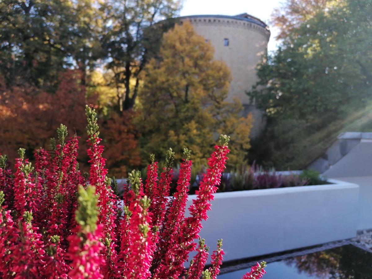 Apartment Serenade Am Zwinger ゴスラー エクステリア 写真