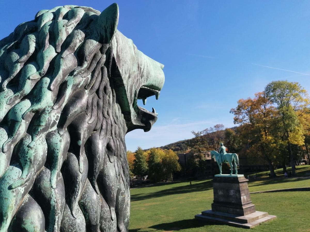 Apartment Serenade Am Zwinger ゴスラー エクステリア 写真
