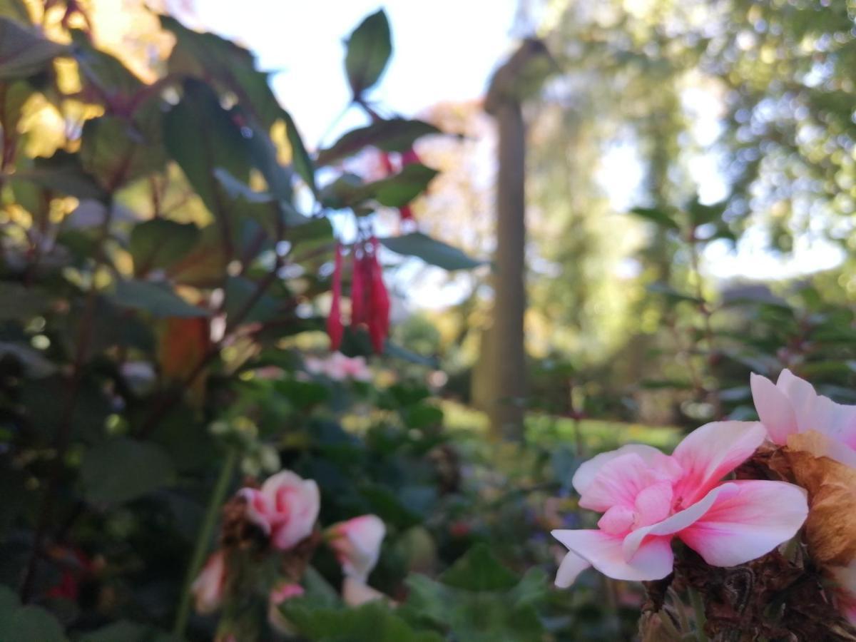 Apartment Serenade Am Zwinger ゴスラー エクステリア 写真