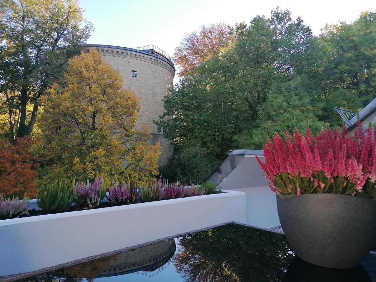 Apartment Serenade Am Zwinger ゴスラー エクステリア 写真